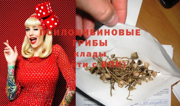 дмт Белокуриха
