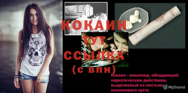 дмт Белокуриха