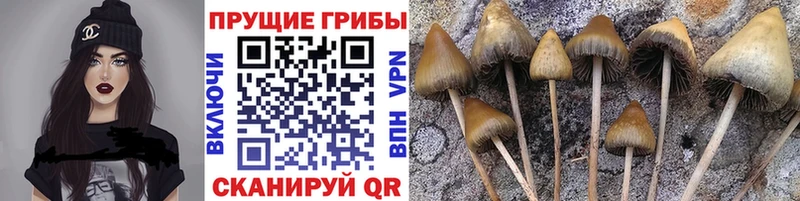 Псилоцибиновые грибы Magic Shrooms  Сердобск 