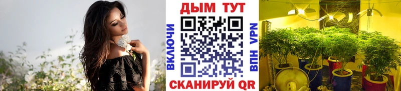 где продают   даркнет Telegram  Конопля LSD WEED  Сердобск  мега зеркало 